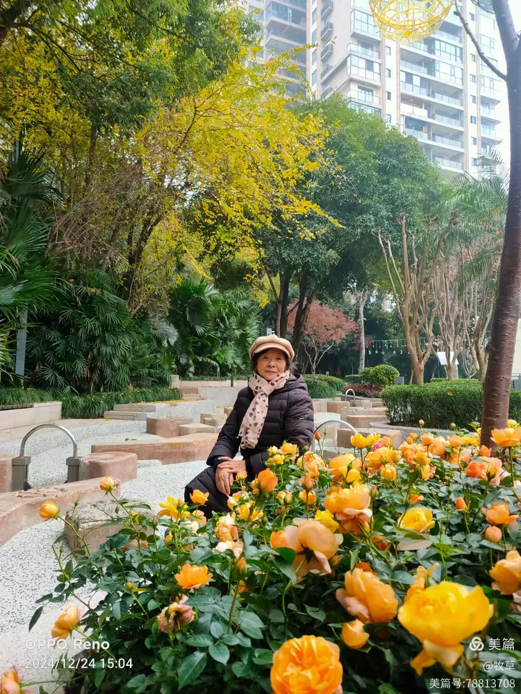 春森彼岸小区三期环境优美2024.12.24